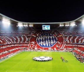 新手入门指南：3377体育官网入口